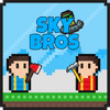 Sky Bros – 2 Players
